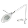 Illuminated desktop magnifier