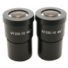 Set oculars (20X)