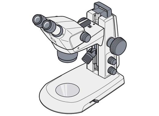 ZEISS Stemi 305 K EDU stand