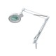 Bureaulamp met vergrootglas en 22W ring-TL-lamp