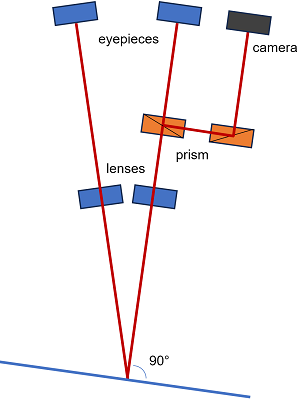 Greenough microscope 3